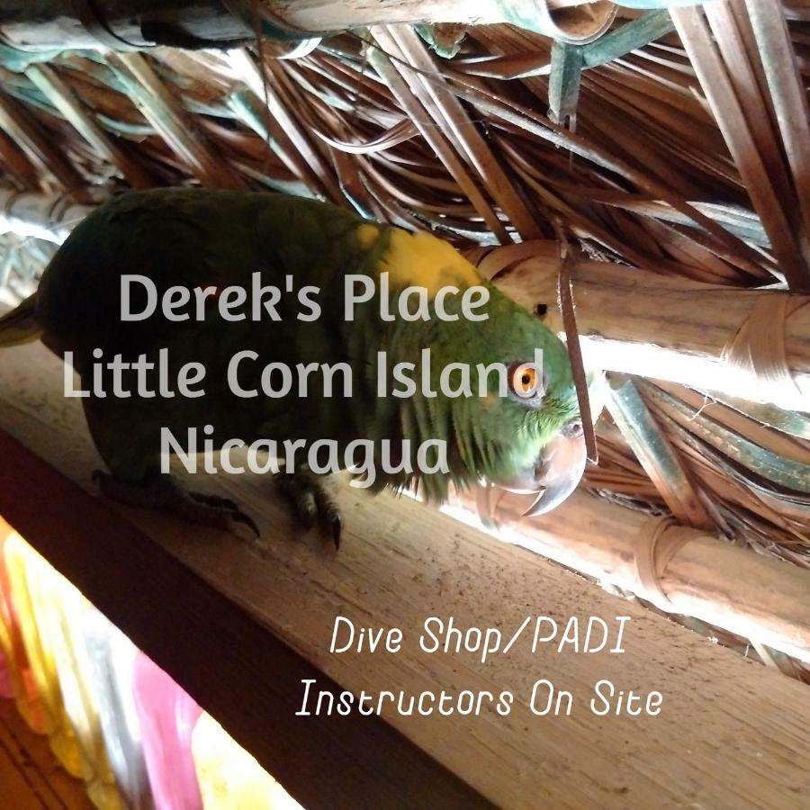 Derek's Place Eco-Lodge Little Corn Island Buitenkant foto